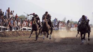 Pferdrennen Drama