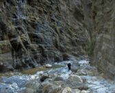 Die Wildnis Kretas: Eine Oase der Wasserfälle und Schluchten